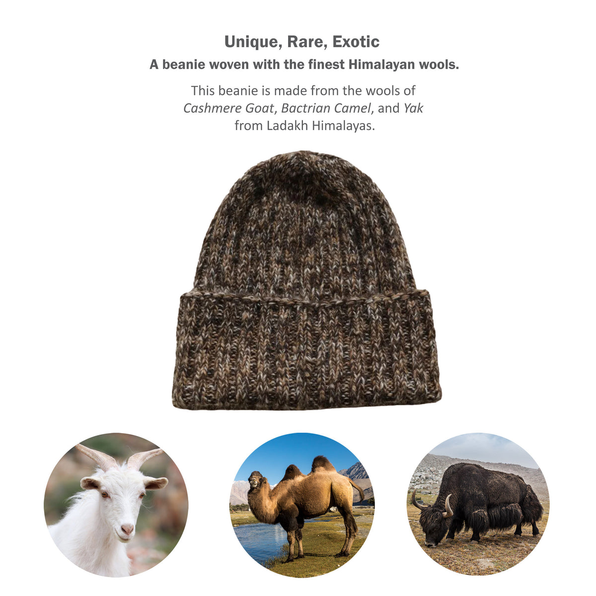 rare winter beanie - cashmere wool, bactrian camel and yak wool
