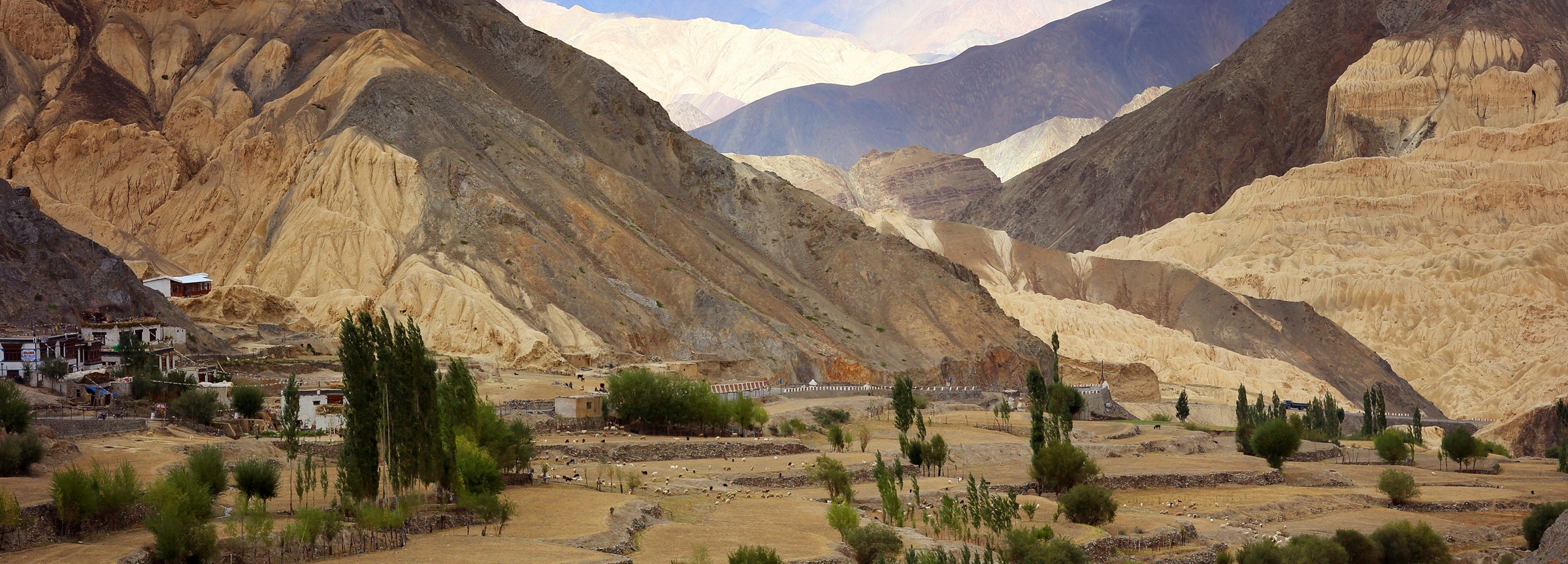 Ladakh Valley with buildings and greenery surrounded by mountains